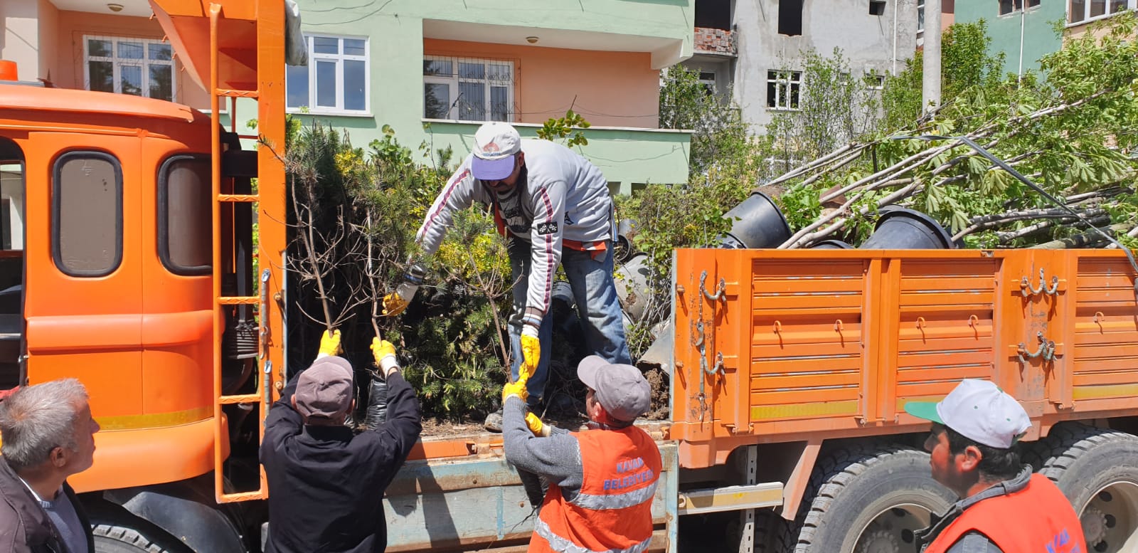 KAVAK, YEŞİL ATAĞA GEÇTİ